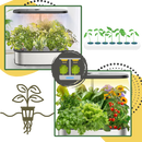 Jardin hydroponique avec 12 capsules de plantes