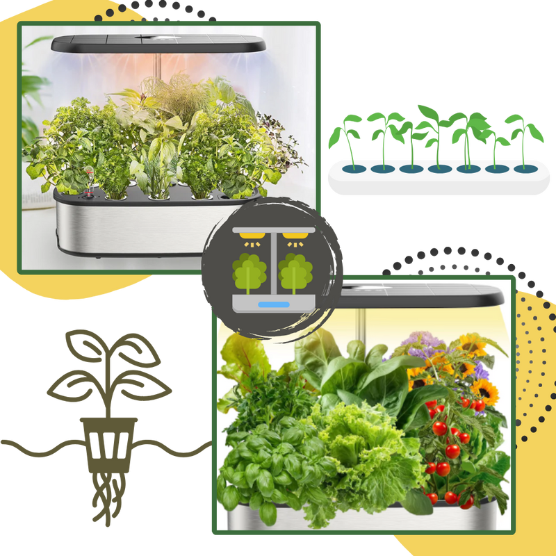 Jardin hydroponique avec 12 capsules de plantes