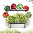 Jardin hydroponique avec 12 capsules de plantes