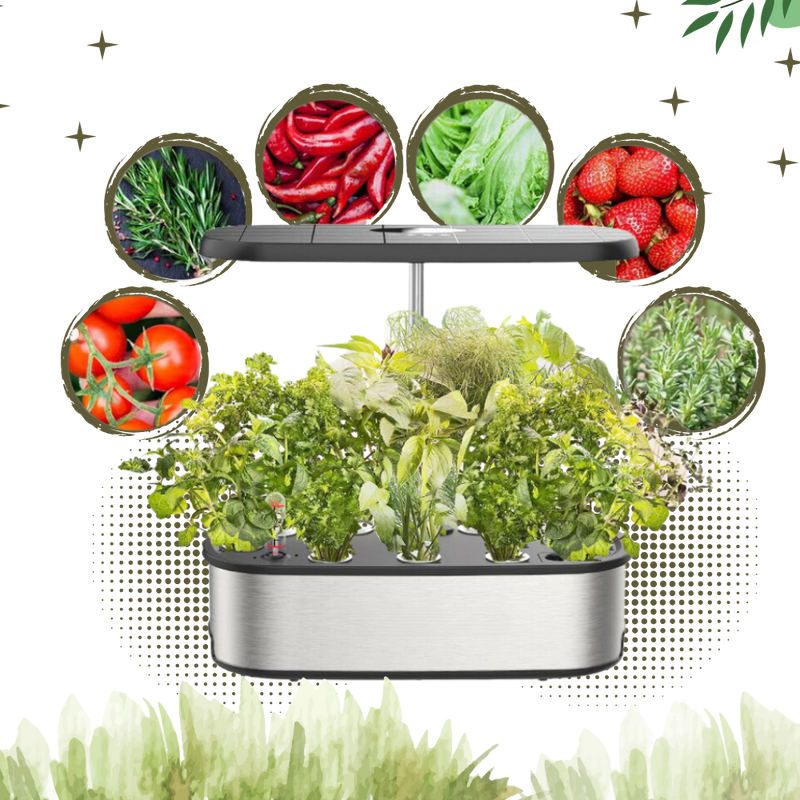 Jardin hydroponique avec 12 capsules de plantes