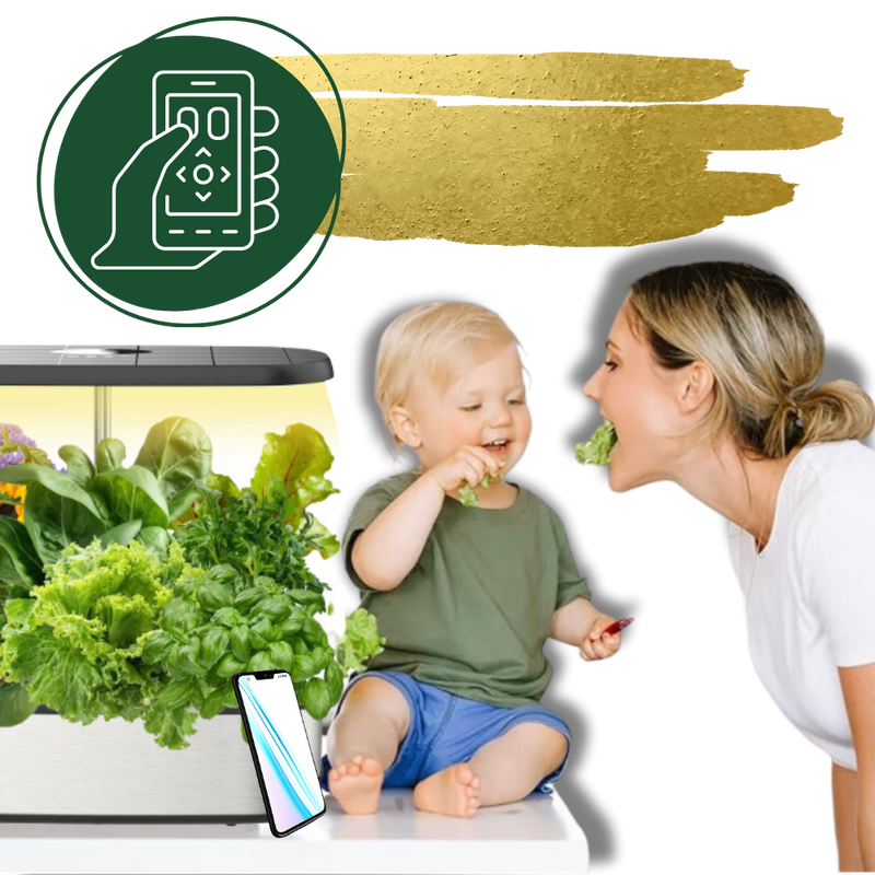 Jardin hydroponique avec 12 capsules de plantes