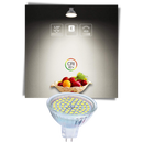 Lot de 3 ampoules LED économique