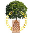 Moule à biscuits en bois