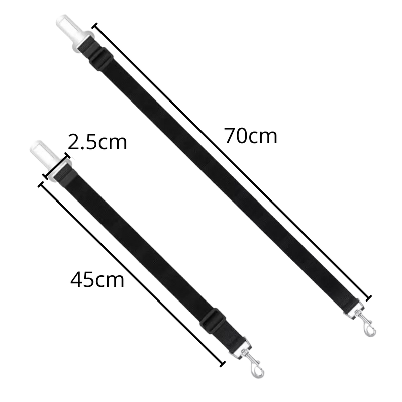 Ceinture de sécurité réglable pour chiens en voiture