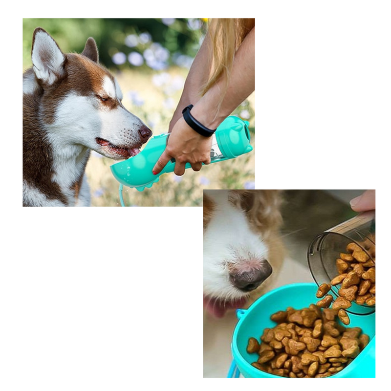 Bouteille distributrice d'eau et de nourriture pour animaux