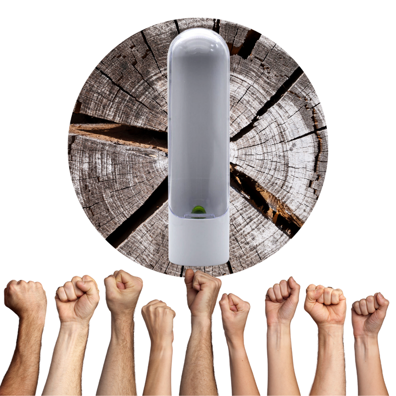 Récipient de conservation des herbes fraîches