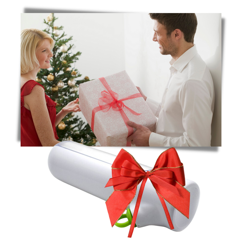 Récipient de conservation des herbes fraîches