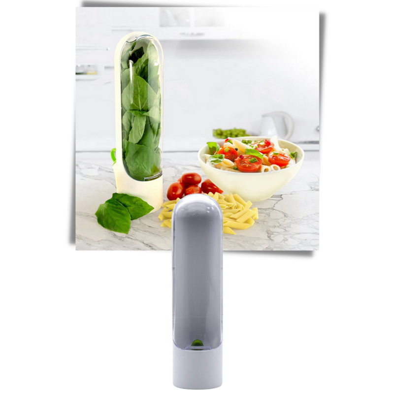 Récipient de conservation des herbes fraîches