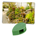 Lot de 20 attaches adhésives en forme de feuille