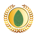 Lot de 20 attaches adhésives en forme de feuille