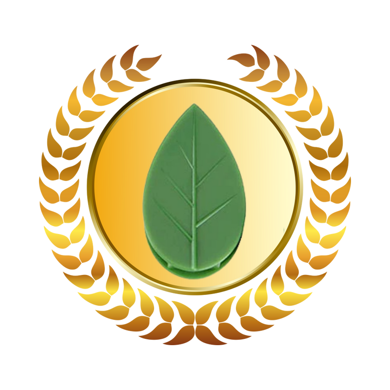 Lot de 20 attaches adhésives en forme de feuille