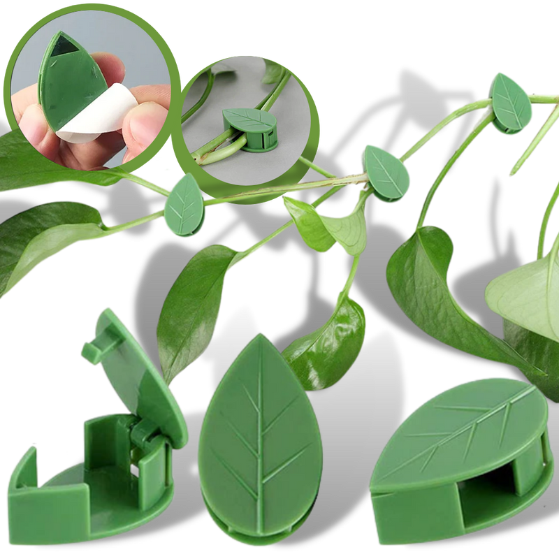 Lot de 20 attaches adhésives en forme de feuille