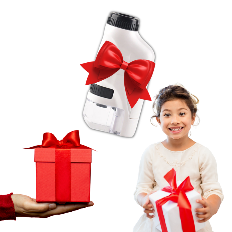 Microscope portatif pour enfants