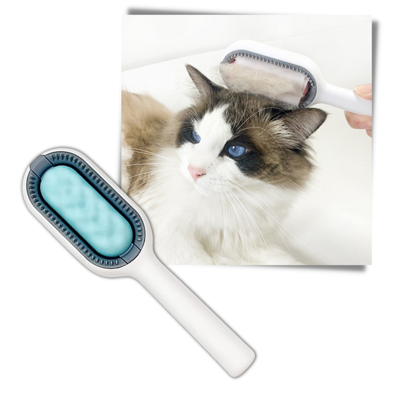 Brosse de toilettage pour animaux