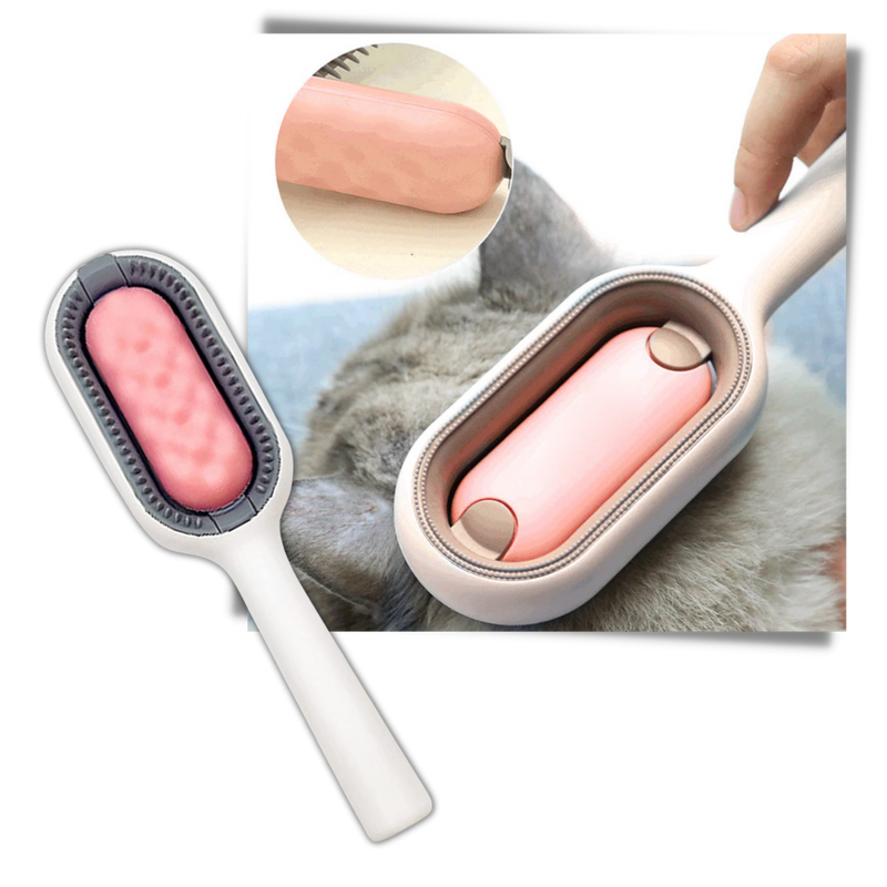 Brosse de toilettage pour animaux