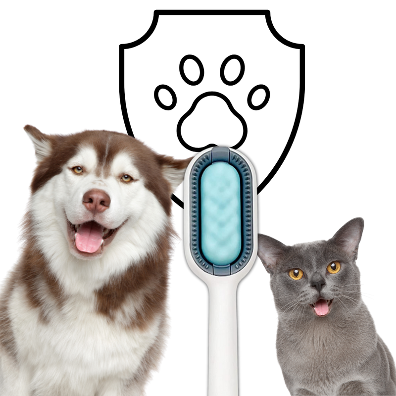 Brosse de toilettage pour animaux