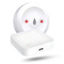 Capteur de fuite d'eau sans fil