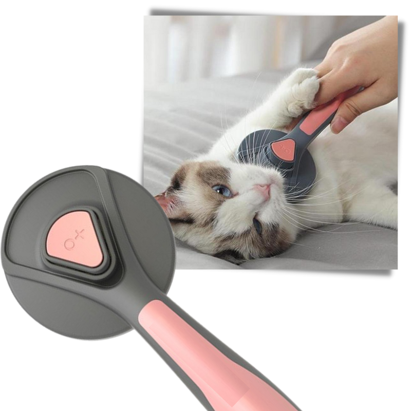 Brosse spéciale pour animaux de compagnie