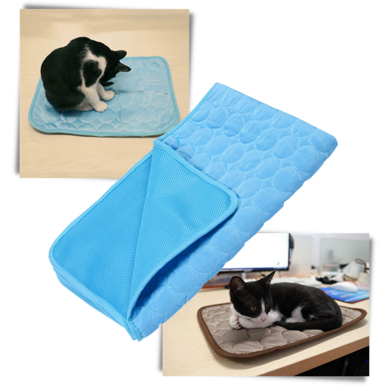 Tapis réfrigérant pour animaux de compagnie