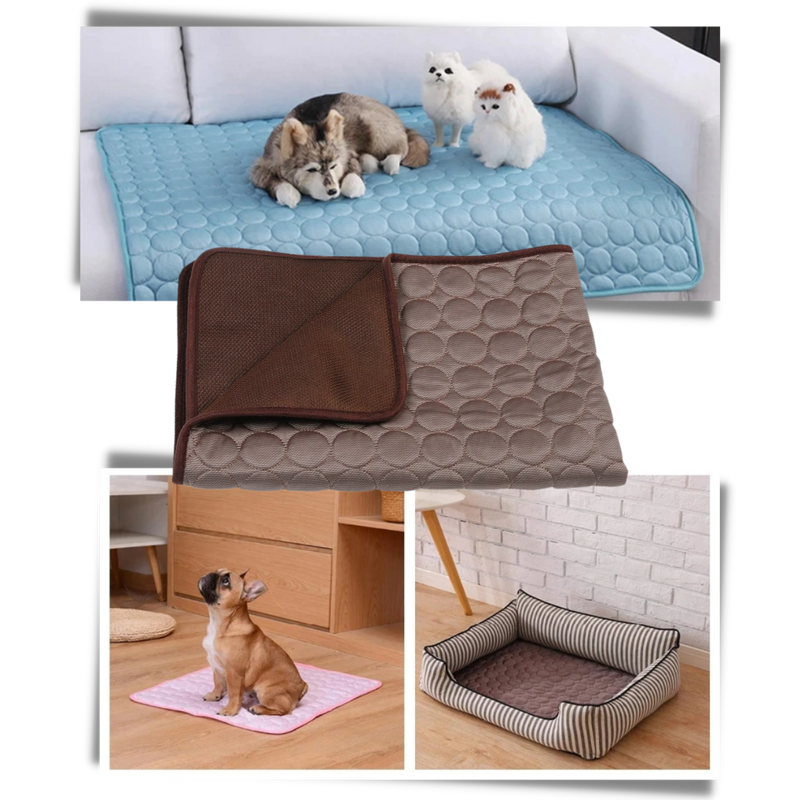 Tapis réfrigérant pour animaux de compagnie