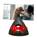 Rouleau anti-poils d'animaux