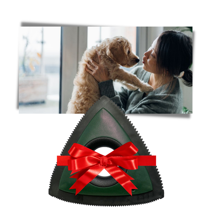 Rouleau anti-poils d'animaux