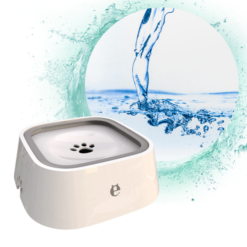 Bol d'eau flottant pour animaux