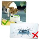 Bol d'eau flottant pour animaux