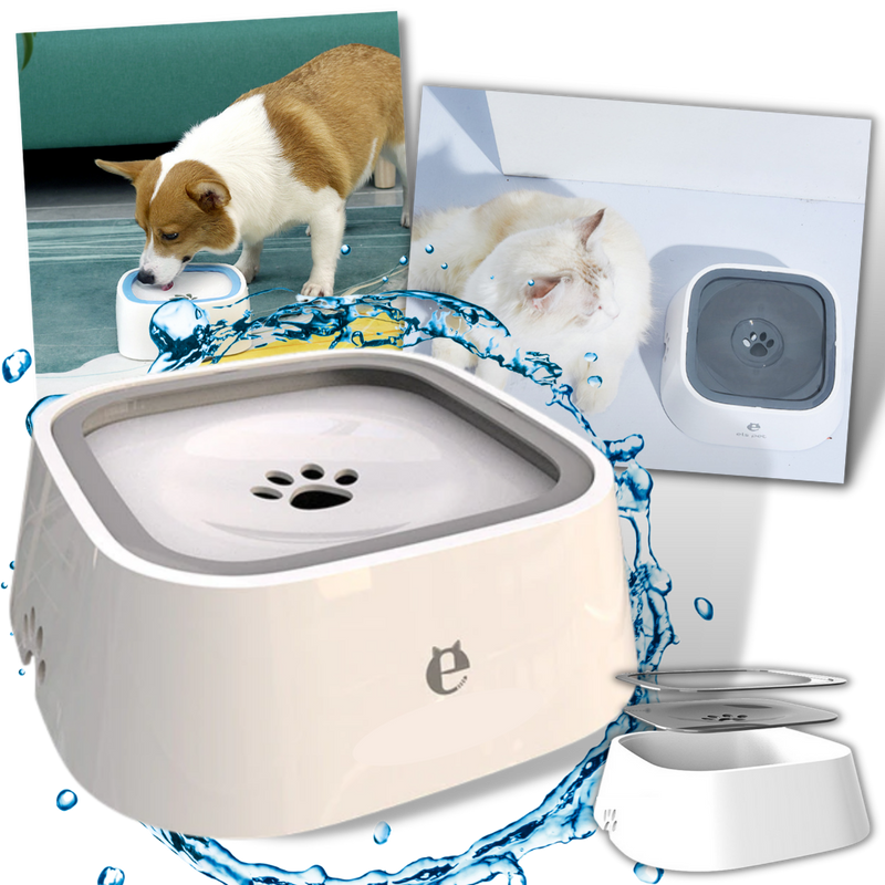 Bol d'eau flottant pour animaux