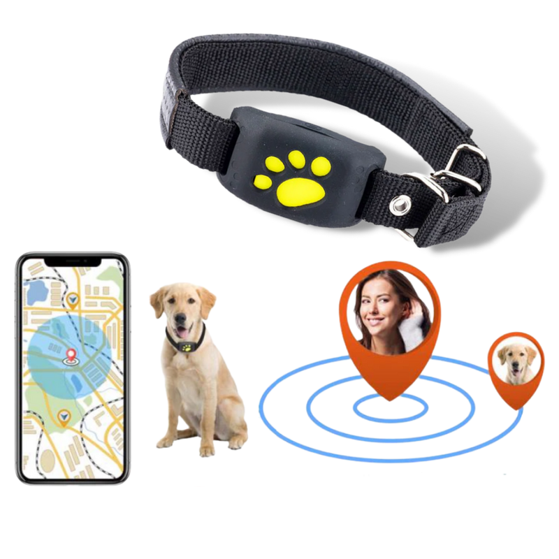 Collier de repérage GPS pour animaux de compagnie