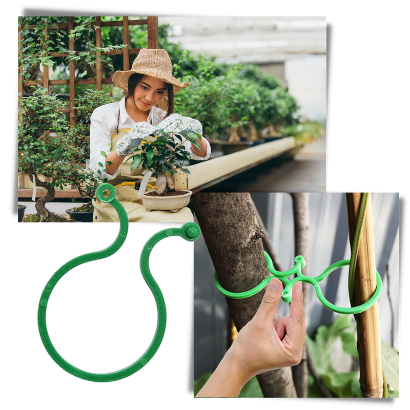 Lot d'attaches pour plantes de jardin