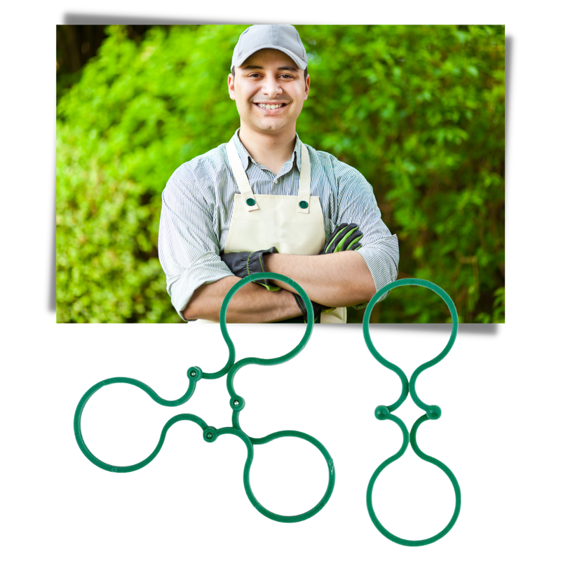 Lot d'attaches pour plantes de jardin