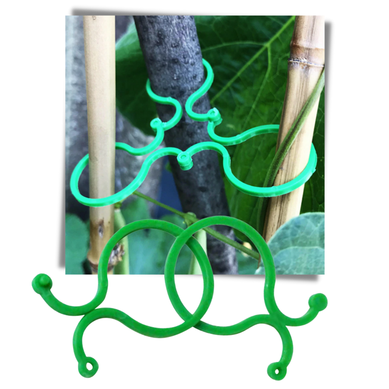 Lot d'attaches pour plantes de jardin
