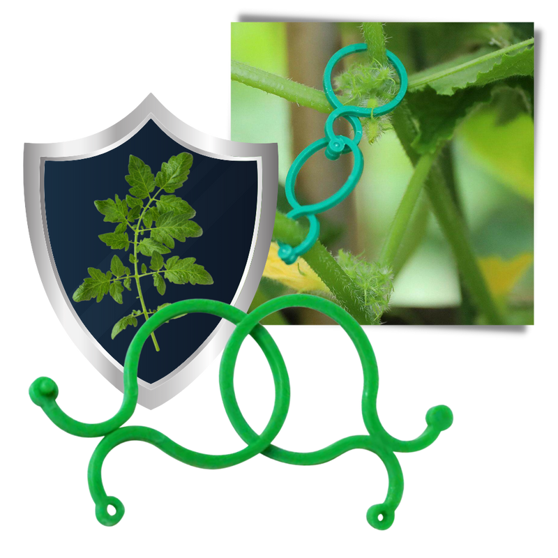 Lot d'attaches pour plantes de jardin