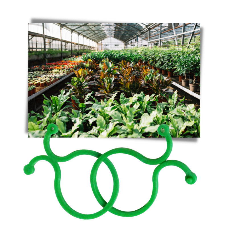 Lot d'attaches pour plantes de jardin