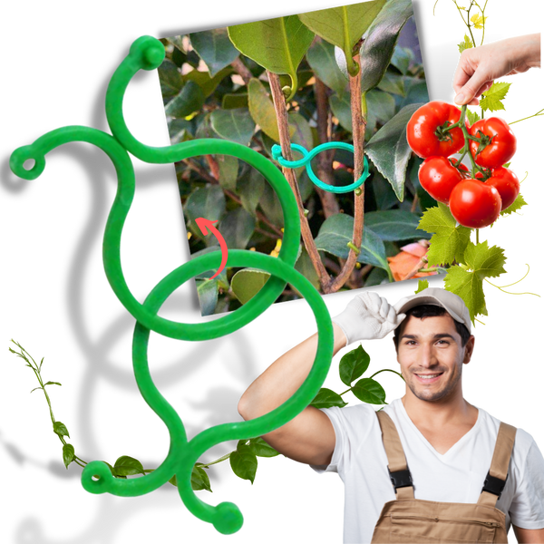 Lot d'attaches pour plantes de jardin