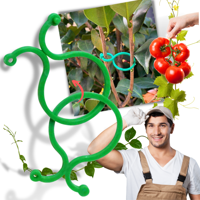 Lot d'attaches pour plantes de jardin
