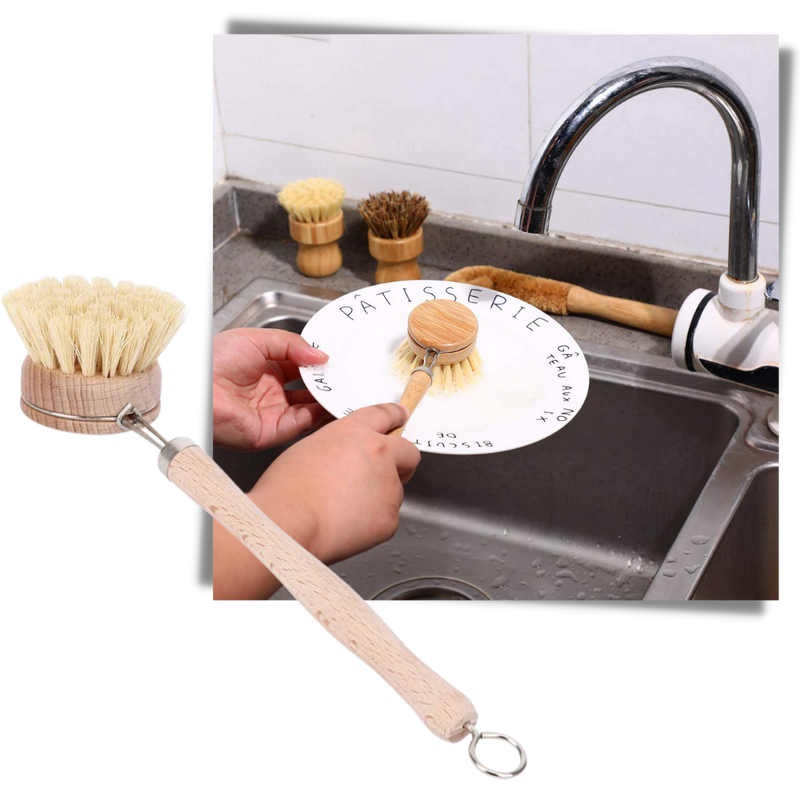 Brosse à récurer écologique
