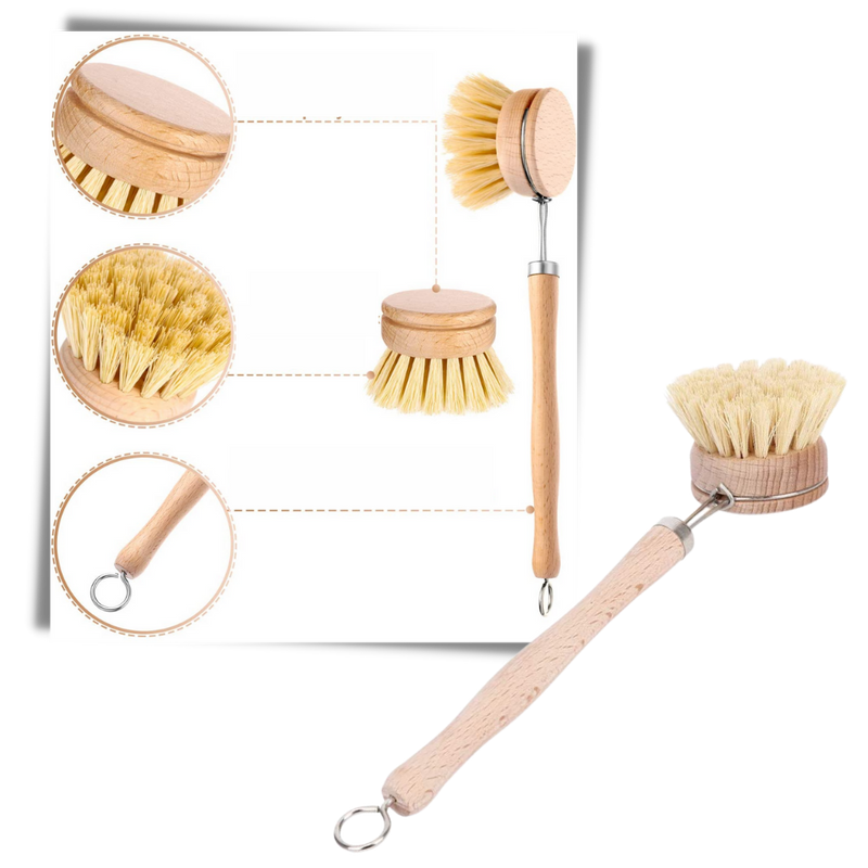 Brosse à récurer écologique