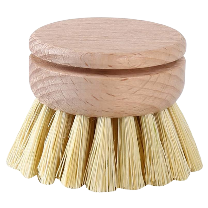 Brosse à récurer écologique