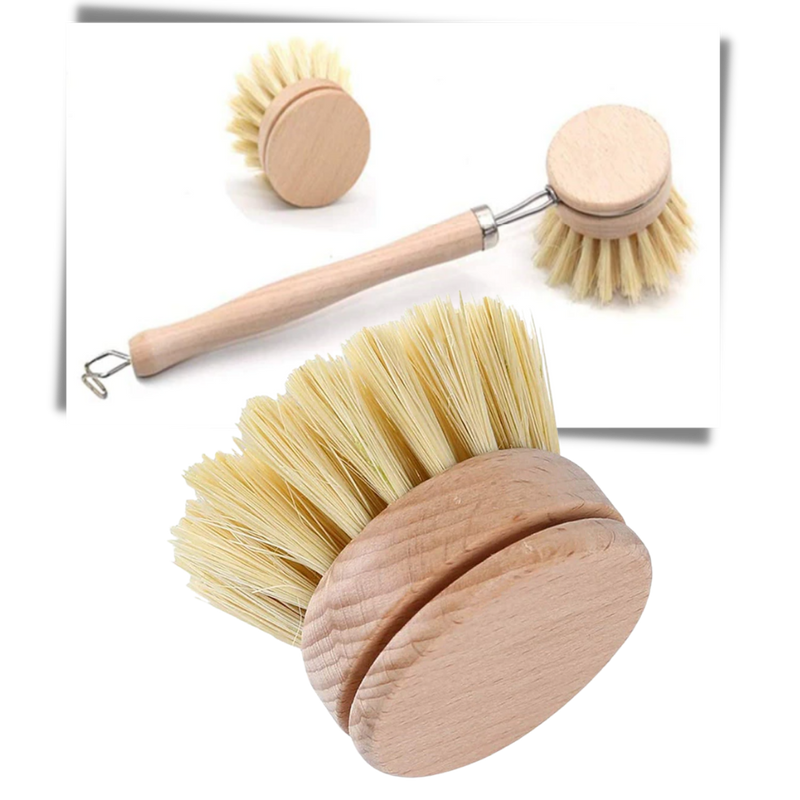 Brosse à récurer écologique