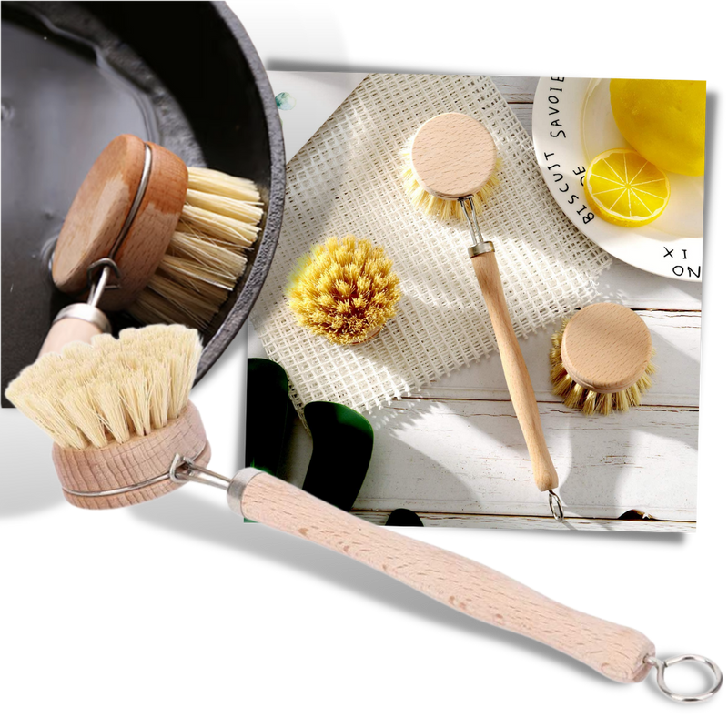 Brosse à récurer écologique