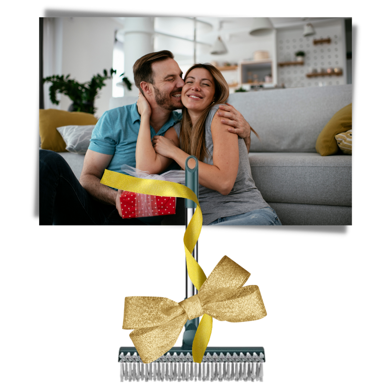 Brosse rotative pour le nettoyage des sols