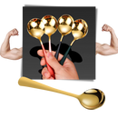 Lot de 2 cuillères en acier inoxydable