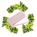 Lot de 15 clips de scellage pour sachets alimentaires