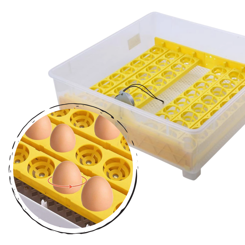 Incubateur automatique d'oeufs (48 oeufs)