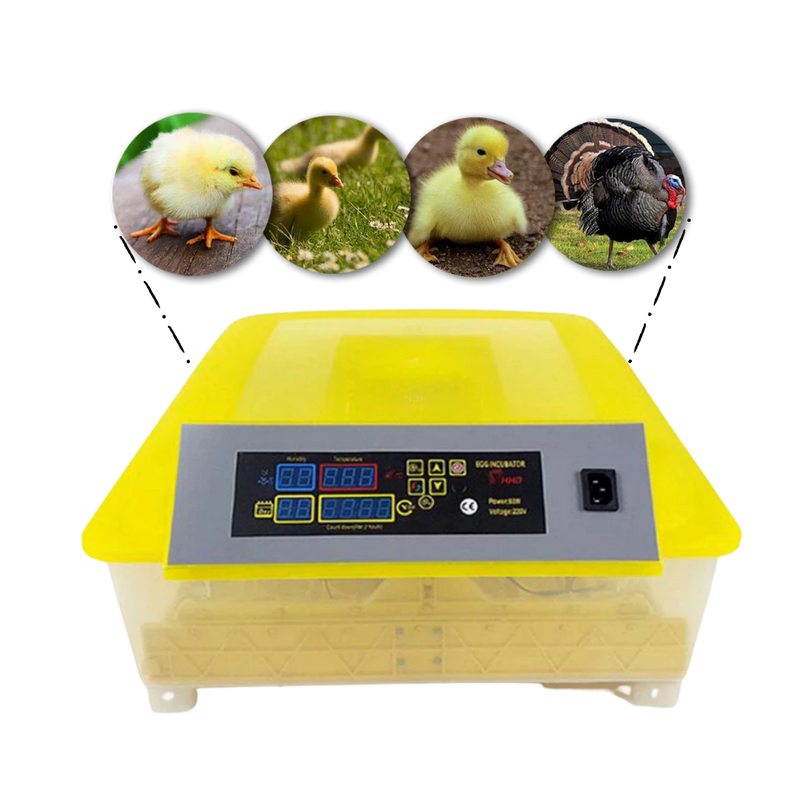 Incubateur automatique d'oeufs (48 oeufs)
