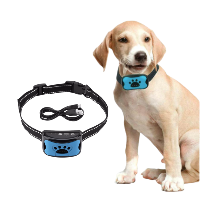 Collier anti-aboiement