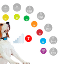 Collier anti-aboiement