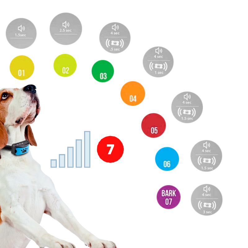 Collier anti-aboiement